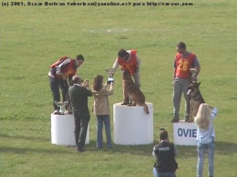 Podium